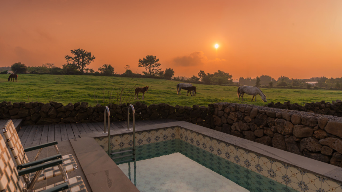 붉은 노을을 담은 제주 독채 펜션으로 초대 🌅